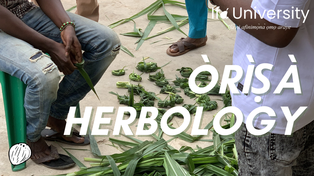 Òrìṣà Herbology Learners