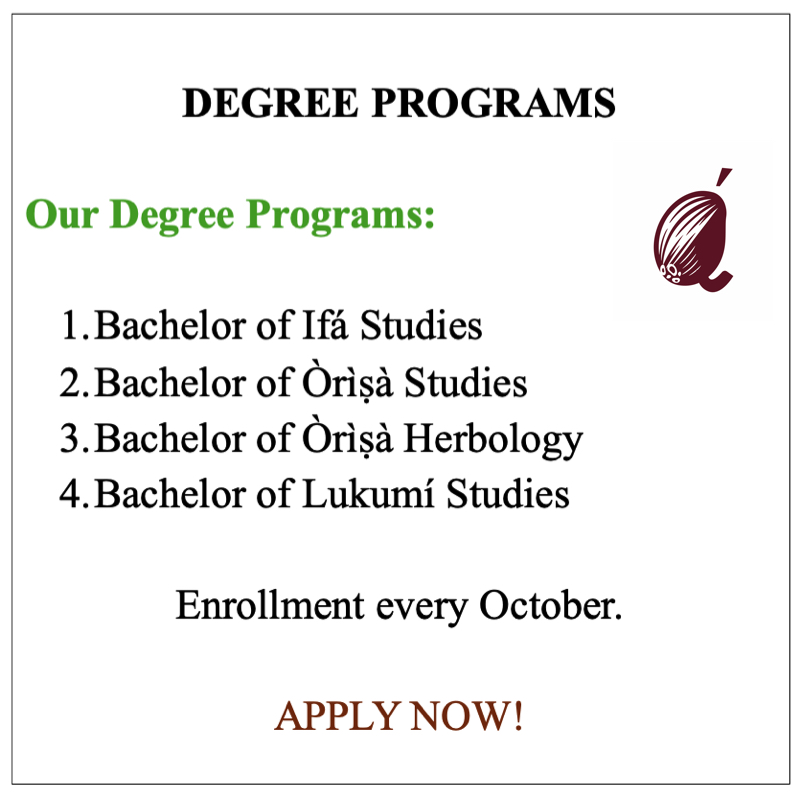 degree programs degree programs
