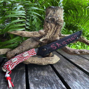 Bachelor of Lukumí Studies